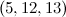 $(5, 12, 13)$