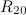 $R_{20}$