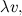 $\lambda v,$