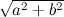 $\sqrt {a^2+ b^2}$