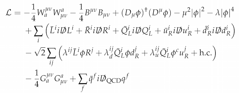Lagrangian for the standard model