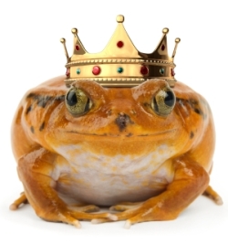 icon