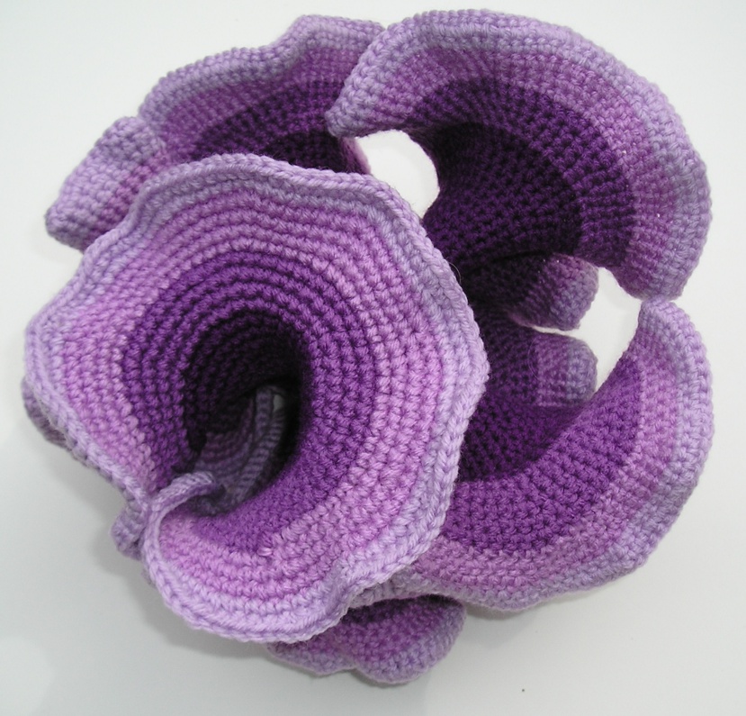 Crocheted hyperbolic surface by mathematician Daina Taimina.