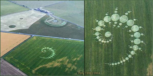 The Julia set crop circle. Image courtesy The Crop Circle Connector (cropcircleconnector.com).