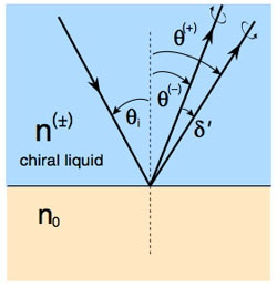 Light is split on reflection in a chiral liquid