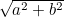 $\sqrt{a^2+ b^2}$
