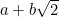 $a+b\sqrt{2}$