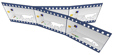 An illustration of the many worlds interpretation of Everett: A film strip of Schrodinger's cat splits into two separate strips - one showing the cat alive and one showing it dead.