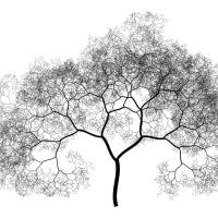 Black and White tree