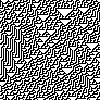 cellular automaton