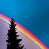 rainbow