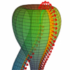 Klein bottle