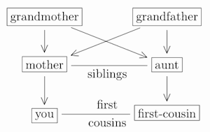 what happens if two first cousins have a baby