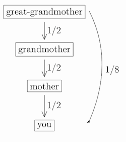 How related are you to your great-grandmother?