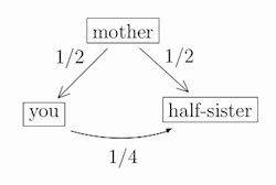 Half brother и Step brother разница. Step sister and half sister разница. Half brother перевод. Half and half. Half brother