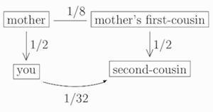 How related are you to your second-cousin?