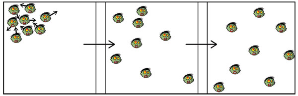 An example of two-dimensional diffusion