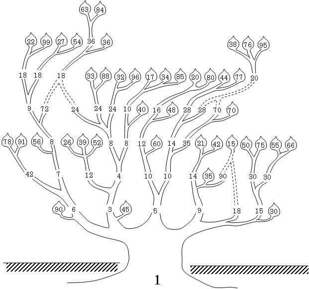 Tree diagram