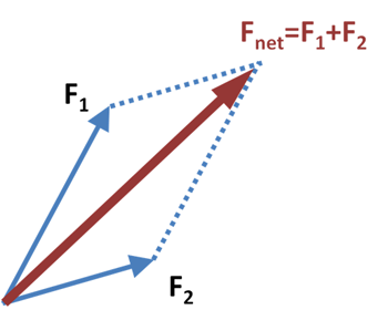 Euclid