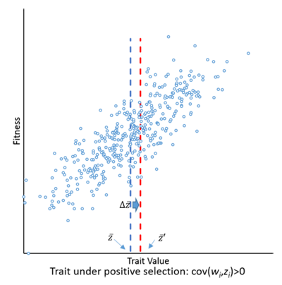 Covariance