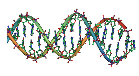 DNA