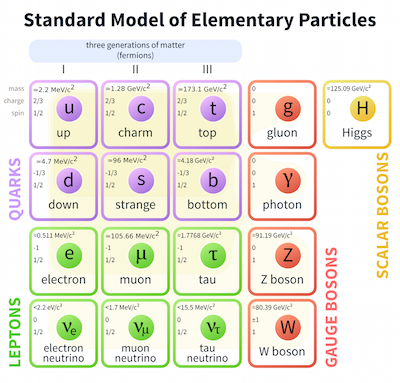 standard model