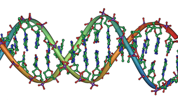 Double helix