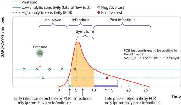 An example infection trajectory