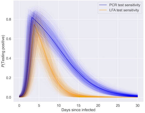 Probability of testing positive