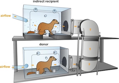 experimental setup