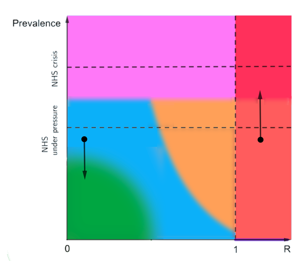 Prevalence versus R