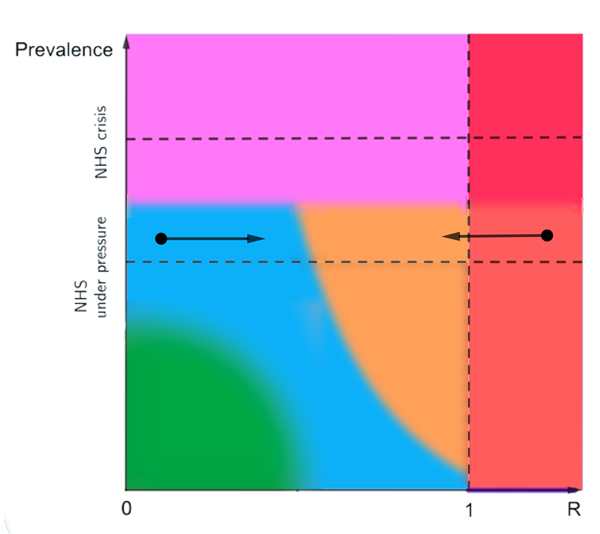 Prevalence versus R