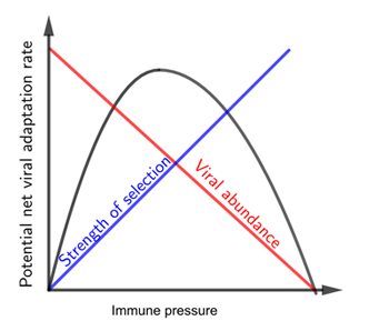 The goldilocks zone