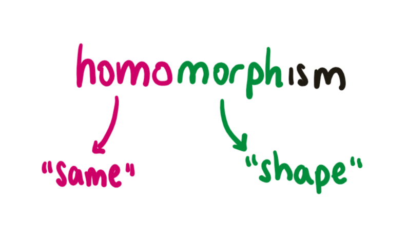 homomorphism