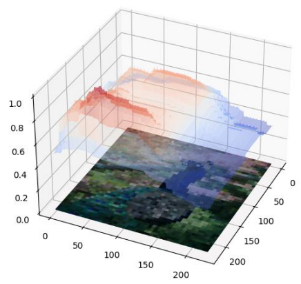 Heatmap showing the most responsible pixels for classifying an image as a peacock (Image by Hana Chockler - used with permission)