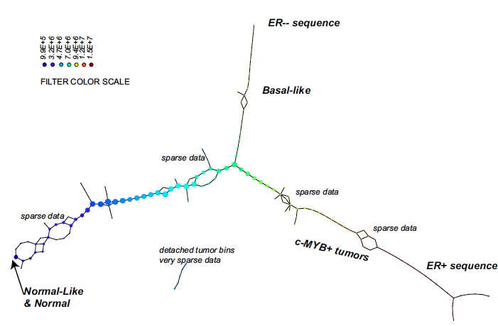 Cancer network