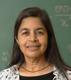 Nalini Joshi, Vice President of the IMU