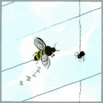 Figure 7: Space to bee in