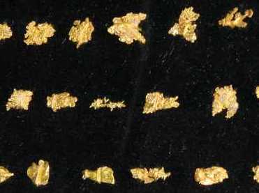 Rare dendritic formations of gold that will be analysed using the fingerprinting technique