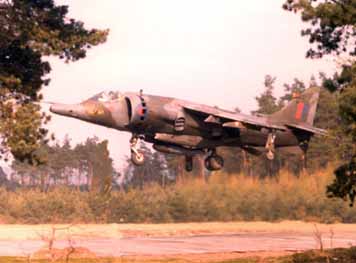 The Harrier