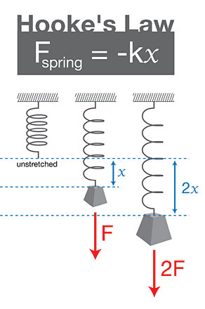 hooke's law