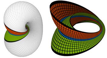 Möbius bands on the Lawson-Klein bottle