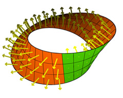 Multimedia Gallery - A two-dimensional representation of the Klein bottle  topology.