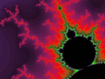 A detail of the Mandelbrot set.