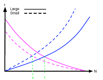 The effect of island size on the typical migration and extinction curves