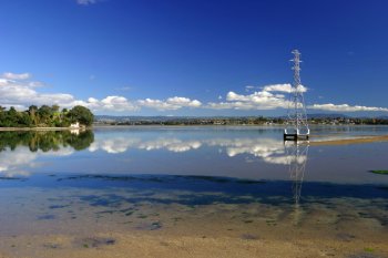 Tauranga habour