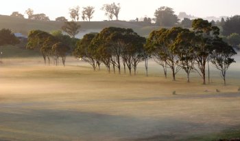 Waikato district 