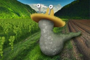 The economics of slug world