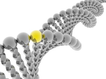 DNA double helix
