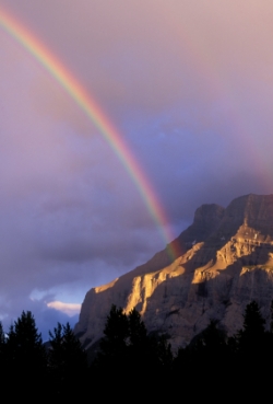 This rainbow is white - on average.